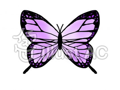 トップ 100 蝶々 イラスト 紫