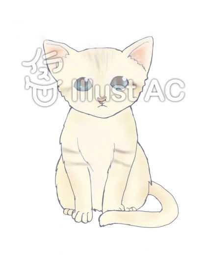 モフモフ猫イラスト 無料イラストなら イラストac