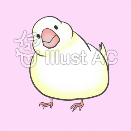 白文鳥イラスト 無料イラストなら イラストac