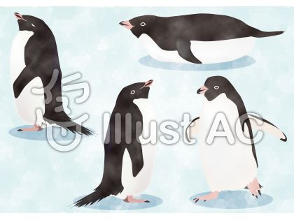 南極ペンギンイラスト 無料イラストなら イラストac