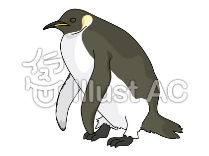 皇帝ペンギンイラスト 無料イラストなら イラストac