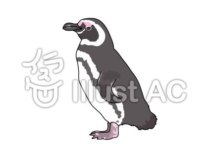 マゼランイラスト 無料イラストなら イラストac