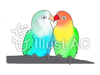 可愛いインコイラスト 無料イラストなら イラストac