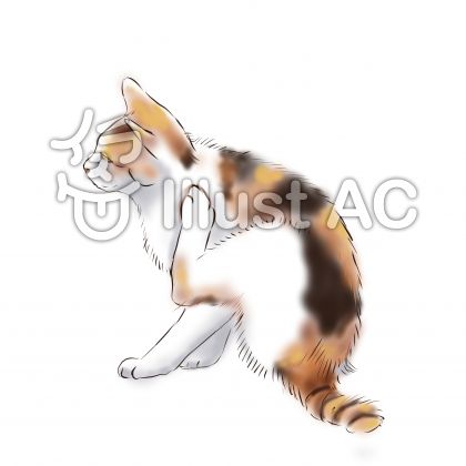 キジイラスト 無料イラストなら イラストac