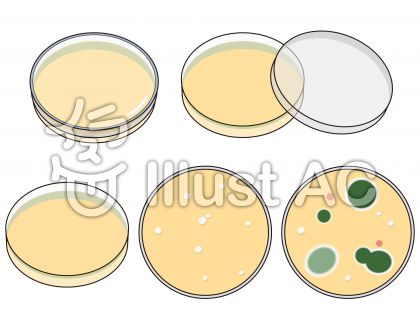 シャーレイラスト 無料イラストなら イラストac