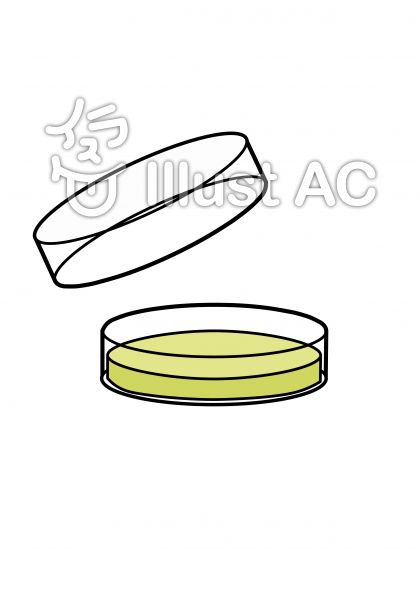 シャーレイラスト 無料イラストなら イラストac