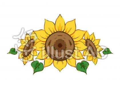 ひまわりの種イラスト 無料イラストなら イラストac