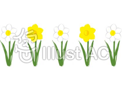 水仙イラスト 無料イラストなら イラストac