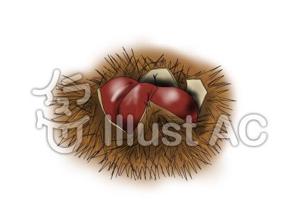 いがぐりイラスト 無料イラストなら イラストac